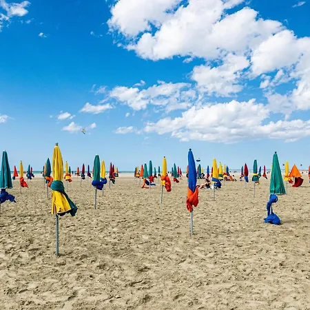 Le Mermoz - Centre, A 5 Min De La * Deauville