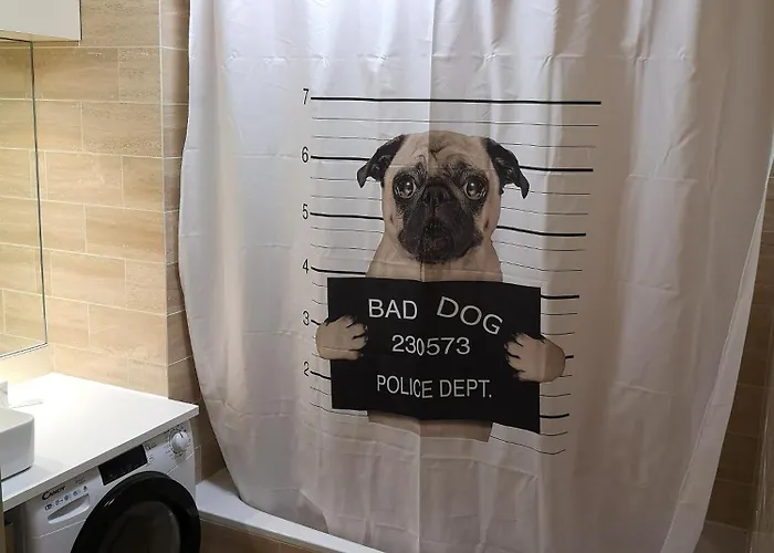 Le Mermoz - Centre, A 5 Min De La